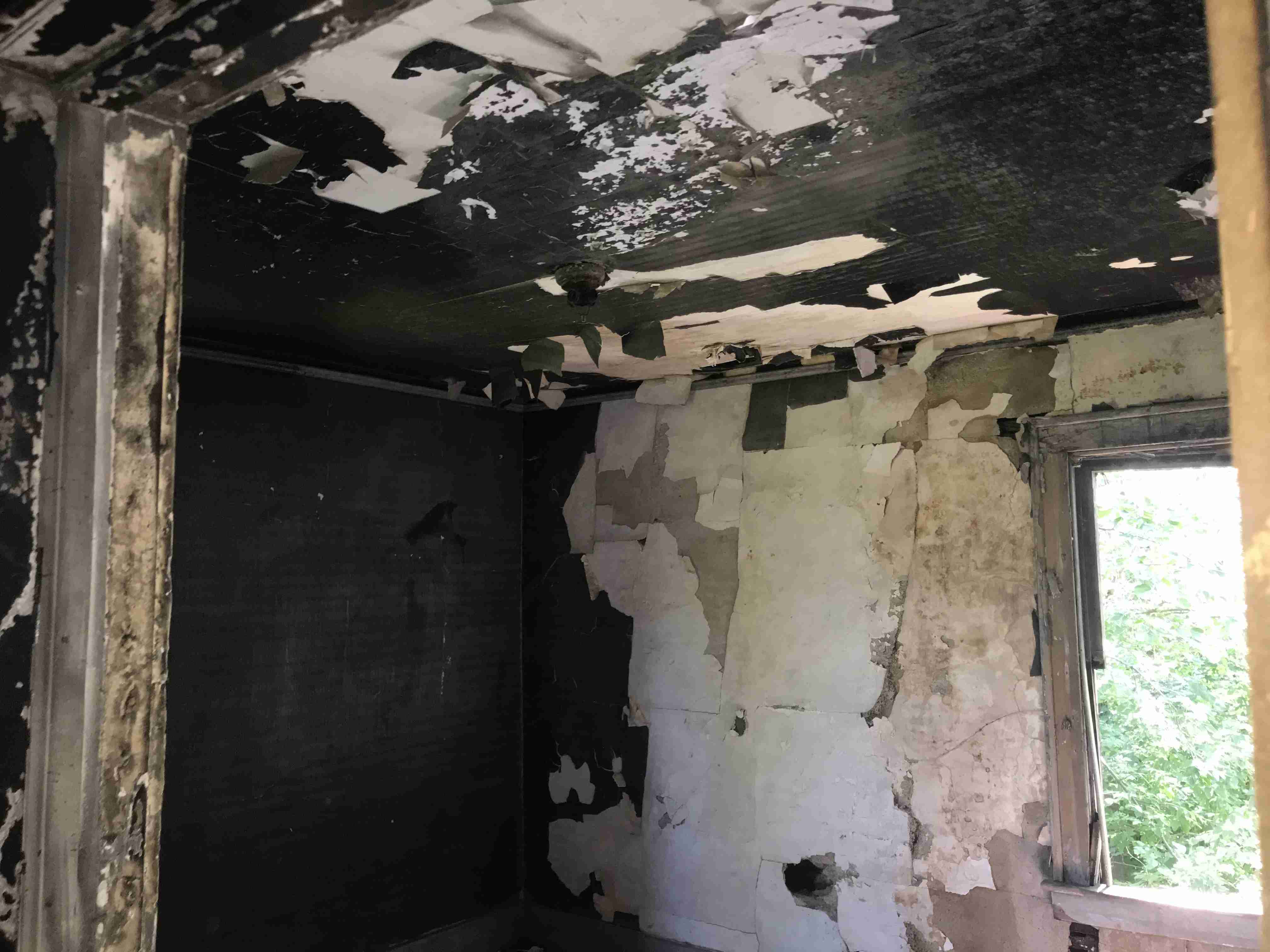 Photo Aug 21, 1 50 13 PM.jpg